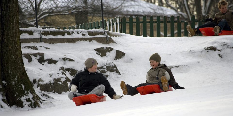Pojkar som åker pulka i en park. Foto.